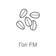 Record Гоп FM