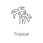 Слушать онлайн радио Record Tropical